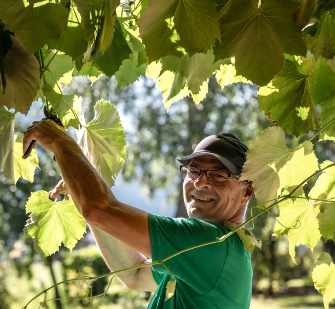 With us, everything revolves around your wishes