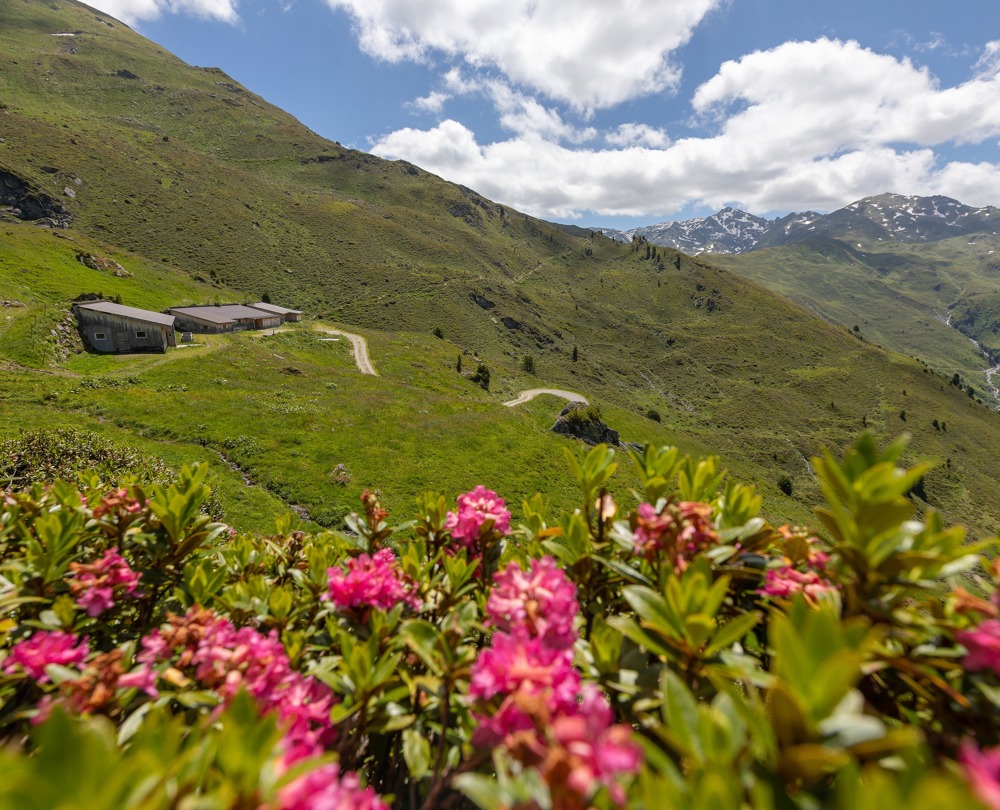 Wanderurlaub im Zillertal