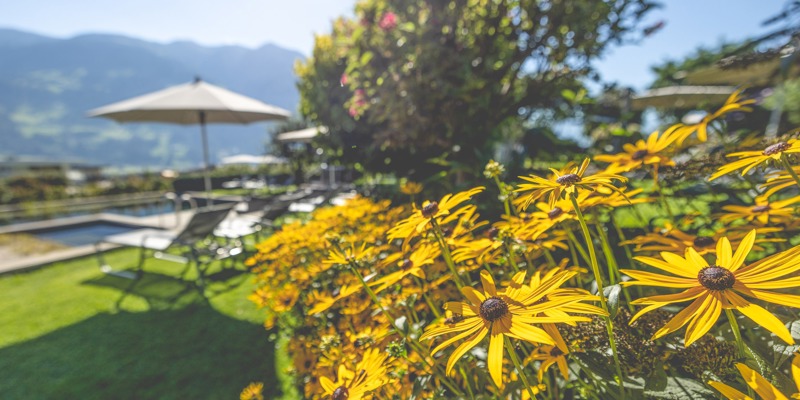 Gartenhotel Crystal 2208 WEB ©BP. 15